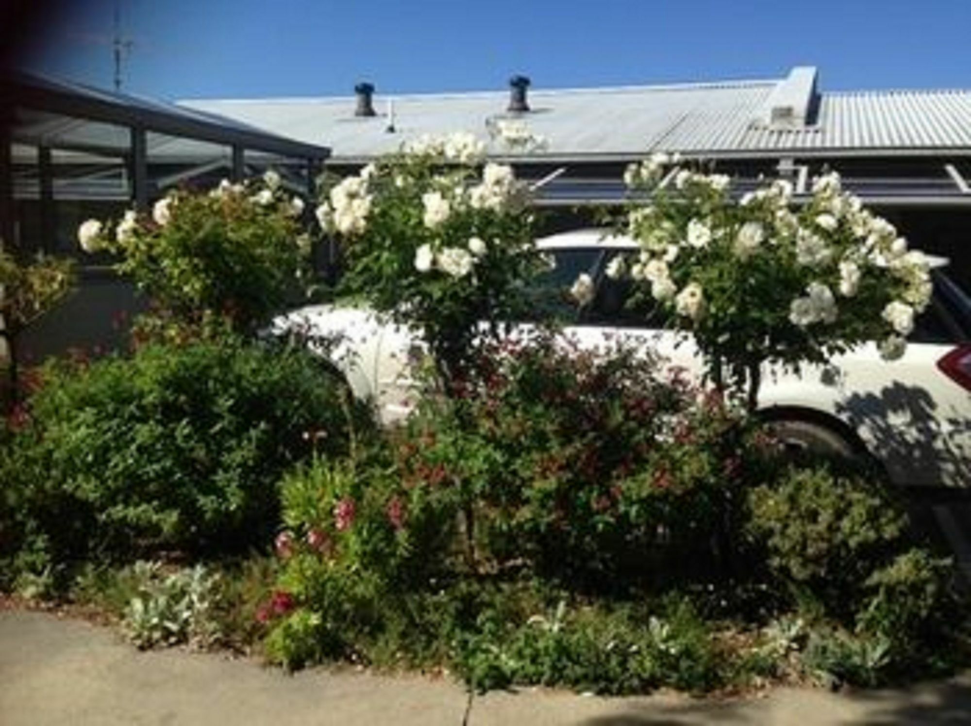 Lorne Bay View Motel Экстерьер фото